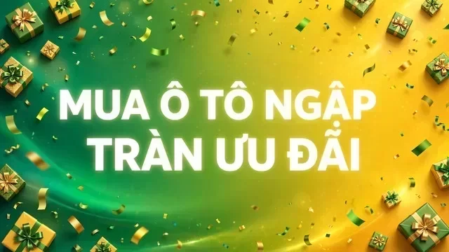 Địa điểm hỗ trợ xem xe tại Bến Tre